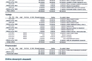 RO 8.2024 (1)