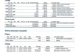 RO 1.2025 (1)